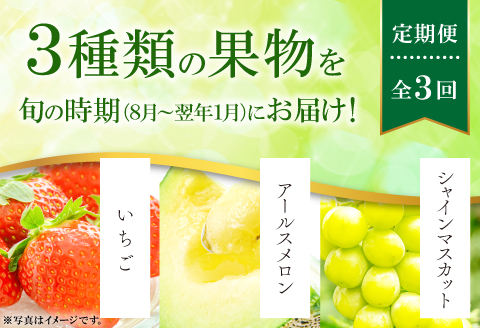 C-861 【先行予約】益田自慢のくだもの定期便(3回コース)【先行予約 期間限定 季節限定 定期便 定期 3回 果物 フルーツ ぶどう マスカット シャインマスカット しゃいんますかっと 2房 種な