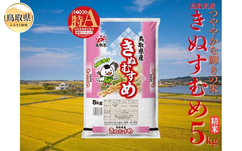 
                  きぬむすめ◇鳥取県産◇精米5kg_T2600516　きぬむすめ、精米、白米、ご飯、銘柄米、鳥取県、鳥取県産
                