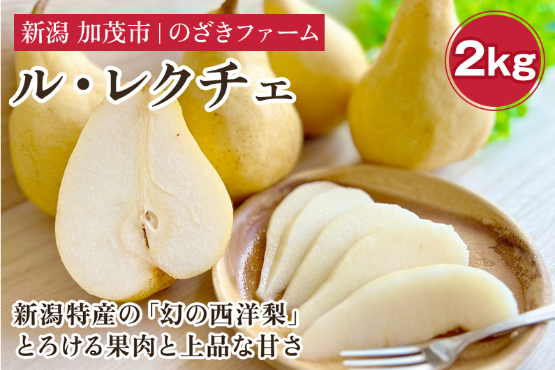 
                  【2026年先行予約】 新潟特産 幻の洋梨ル・レクチェ 2kg 《11月下旬から順次発送》 果物 フルーツ ギフト 加茂市産ル・レクチェ ルレクチェ 梨 西洋梨 加茂市 のざきファーム
                