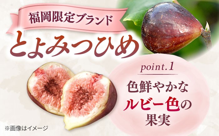 いちじく とよみつひめ 秀品 1.2kg イチジク 無花果 300g×4パック 