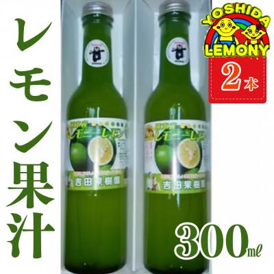 ふるさと納税 宇城市 レモン果汁300ml 2本セット　