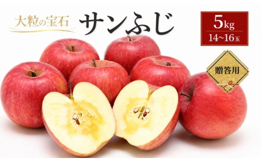 【先行予約】 サンふじ 贈答用 りんご 5kg 林檎 リンゴ 果物 フルーツ おやつ デザート 旬の果物 旬のフルーツ 季節の果物 季節のフルーツ 岩手りんご 国産 産地直送 くだもの お取り寄せ 特産品 名産品 ご当地 自宅用 家庭用 朝食 甘い 蜜入り 冬 定番 岩手県 盛岡市 東北 岩手 盛岡 峰崎果樹園 minezaki007