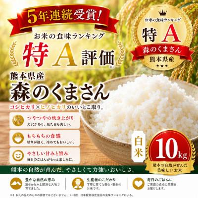 ふるさと納税 玉名市 【熊本県産】 森のくまさん 白米 10kg