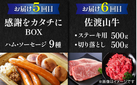【全6回定期便】沖縄のお肉贅沢セット ハンバーグ あぐー 石垣牛 ステーキ 焼肉 冷凍
