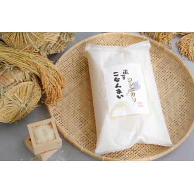 ふるさと納税 湖南市 滋賀こなんまい コシヒカリ 5kg
