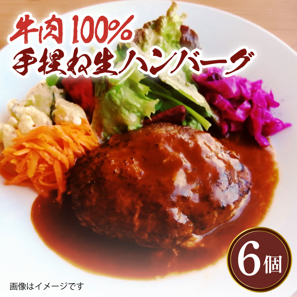 【ふるさと納税】国産 牛肉 100％ 手捏ね 生ハンバーグ 150g×6個 合計 900g 洋食 洋風 惣菜 おかず 簡単調理 冷凍 個包装 送料無料 ルボンヌ