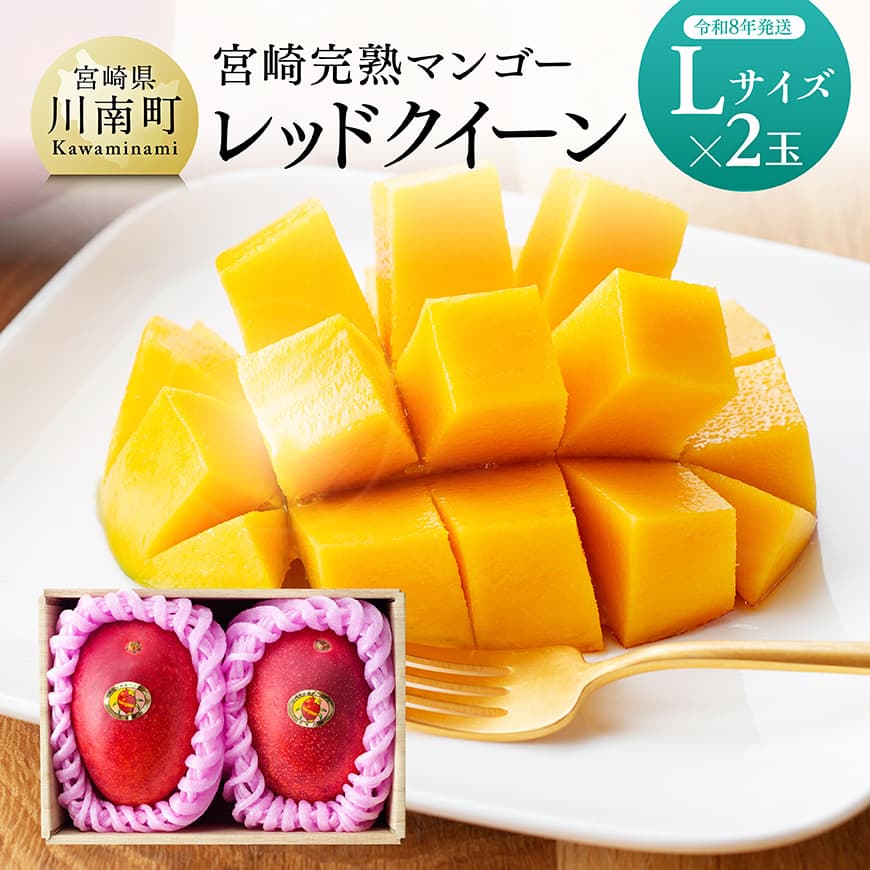 【ふるさと納税】【令和8年発送】宮崎県産完熟マンゴー　「レッドクイーン」L×2玉 - 果物 フルーツ マンゴー 宮崎県産 完熟マンゴー みやざきマンゴー デザート スイーツ 先行予約 季節限定 数量限定 期間限定 国産 九州産 おやつ 食後 贅沢 C03218