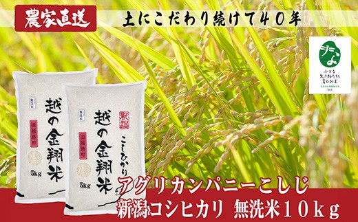 
                  J8-7MC101F【越の金翔米】新潟県長岡産コシヒカリ無洗米10kg【「小さな生き物たちと育むお米」認証品】
                