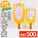 【ふるさと納税】＜選べる容量＞霧島産れんげ蜜(300g・500g)＜無添加 非加熱 着色料・保存料不使用＞ 純粋ハチミツ 100%天然 霧島市 はちみつ 蜂蜜 ハニー 純粋 純国産【冨吉養蜂】