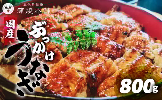 うなぎのカネナカ 国産うなぎ きざみ蒲焼 10袋 うなぎ 国産 蒲焼 カット済 カネナカ うなぎ 蒲焼 国産うなぎ