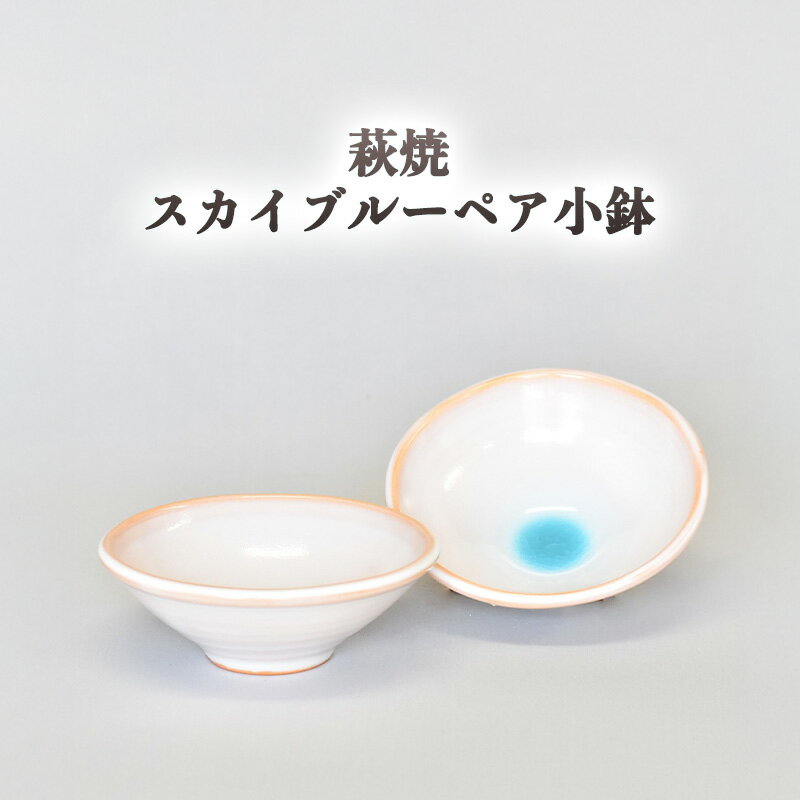 【ふるさと納税】萩焼 スカイブルーペア小鉢 和食器 小鉢 ペアセット 皿 和皿 鉢 小皿 おしゃれ お洒落 食器 おしゃれ食器 和風食器 器 うつわ お皿 陶器 ギフト 人気 モダン 和モダン かわいい 山口県 萩市 日本製 贈り物 プレゼント 可愛い シンプル 水色 白色 ホワイト