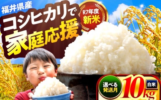 【2月発送】小浜市産コシヒカリ 精米 10kg 若狭の自然が育てたごはん 国産米 福井県 / 白米 新米 地域密着 米問屋 小浜市 / 梅田東米穀店 [BFEK003]