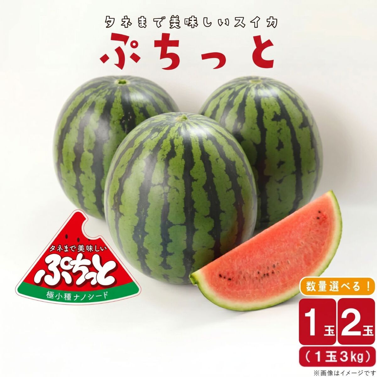 【ふるさと納税】【選べる内容量】【2026年発送】タネまで食べられる？！ タネまで美味しいスイカ「ぷちっと」約3kg（1玉）or約6kg（2玉）｜ 期間限定 贈り物 贈答用 ギフト ふるさと納税 果物 スイカ フルーツ すいか 送料無料(CI001)