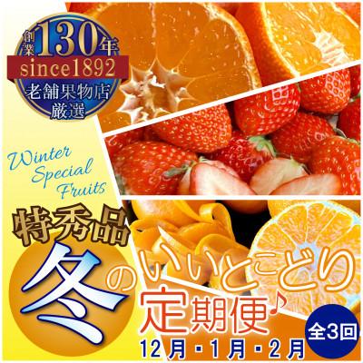 ふるさと納税 三豊市 【発送月固定定期便】冬のいいとこどり定期便♪(12月・1月・2月)全3回
