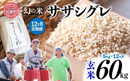 【 12回 定期便 】ササシグレ 玄米 5kg × 12回 （ 合計 60kg ）nt00002-r6-5kg-12