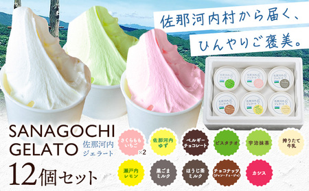 ジェラート アイス スイーツ SANAGOCHI GELATO 12個 株式会社クリスティーヌ 《30日以内に出荷(土日祝除く)》 徳島県 佐那河内村 お菓子 ご褒美 プレゼント いちご チョコ ピスタチオ ミルク 【配送不可地域あり】(離島)