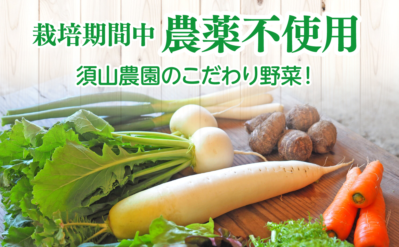 【旬の野菜セット】野菜 産地直送 詰め合わせ 栽培期間中農薬不使用 セット　島根県松江市/須山農園 [ALBD004]