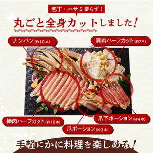 生ずわいがに かに カット済み 3Lサイズ 食べ応え 抜群 脚 丸ごとカット 殻処理済み 手間いらず 簡単 お刺身 鍋 しゃぶしゃぶ カニしゃぶ 雑炊 焼きガニ ズワイガニ 海鮮 海の幸 魚介類 冷凍
