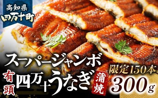 【限定150本！】スーパージャンボ鰻（300g） 冷凍 たれ付き 蒲焼 国産 鰻 ウナギ うなぎ 蒲焼き 肉厚 土用の丑の日 高知鰻 本格うなぎ 山椒付き 四万十うなぎ  Esu-206