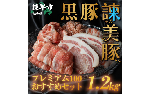 黒豚諫美豚プレミアム100おすすめセット1.2kg / 諫美豚 豚肉 肩ロース ステーキ モモ 切り落とし ハンバーグ ロースステーキ / 諫早市 / 株式会社土井農場 [AHAD047]