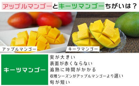 【2025年発送先行予約】キーツマンゴー優品2kg以上 沖縄 おきなわ まんごー 優品 家庭用 先行予約 ふるさと納税 送料無料 甘味 糖度 おいしい お土産 キーツ 果物 くだもの 果実 ２キロ 箱