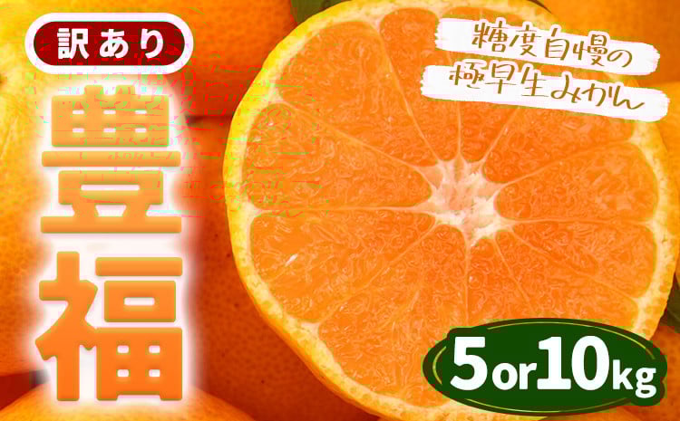 
            訳あり 極早生みかん 「 豊福 」選べる 5kg 10kg 箱入り 都呂々みかん生産者グループ《10月中旬-11月下旬頃出荷》 フルーツ 果物 くだもの 柑橘 みかん ミカン 蜜柑 熊本県 苓北町【配送不可地域あり】
          