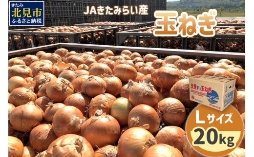 【2026年3月中お届け】JAきたみらい産 玉ねぎ Lサイズ 20kg ( タマネギ たまねぎ 野菜 )【210-0002】