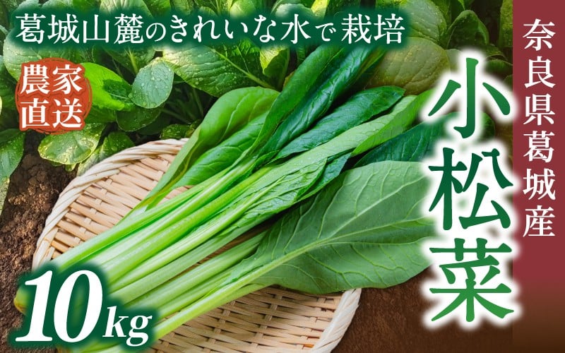 
                  奈良県産 小松菜 約10kg  【順次発送】／ スマイル葛城農業 野菜  小松菜 農家直送 産直 新鮮 旬 サラダ 名産 健康 美容 栄養 奈良県 葛城市【smlk063】
                