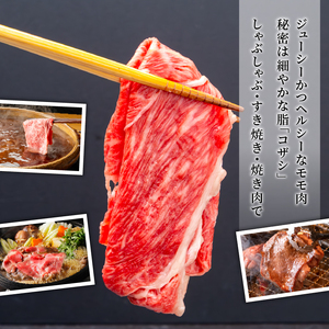 ｢土佐あかうし｣モモスライス600g 国産 土佐あかうし モモ スライス 600g 高級 和牛 ブランド牛 あか牛 焼肉 すき焼き 牛丼 1kg以下 贈答 贈り物 ギフト 冷凍 グルメ お取り寄せ 希