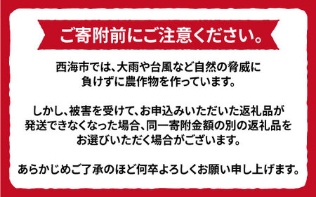 【11月下旬より配送】原口みかん/優品 約4kg（傷み保証分200ｇ含む） ＜川添みかん園＞ [CCT001] みかん みかん みかん みかん みかん みかん