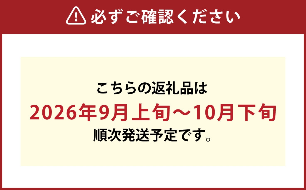 岡山県産桃太郎ぶどう2房（1房480g以上）露地栽培