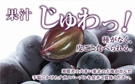 先行予約  ナガノパープル 1kg ぶどう フルーツ 福島県 田村市 