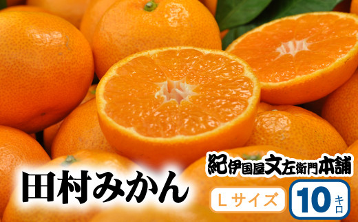 【予約受付】田村みかん 特選ギフト品 10kg【Lサイズ】赤秀/紀州和歌山有田郡湯浅町田村地区産 ◆2025年11月下旬～2026年1月中旬頃に順次発送(お届け日指定不可)　【ntbt302B】