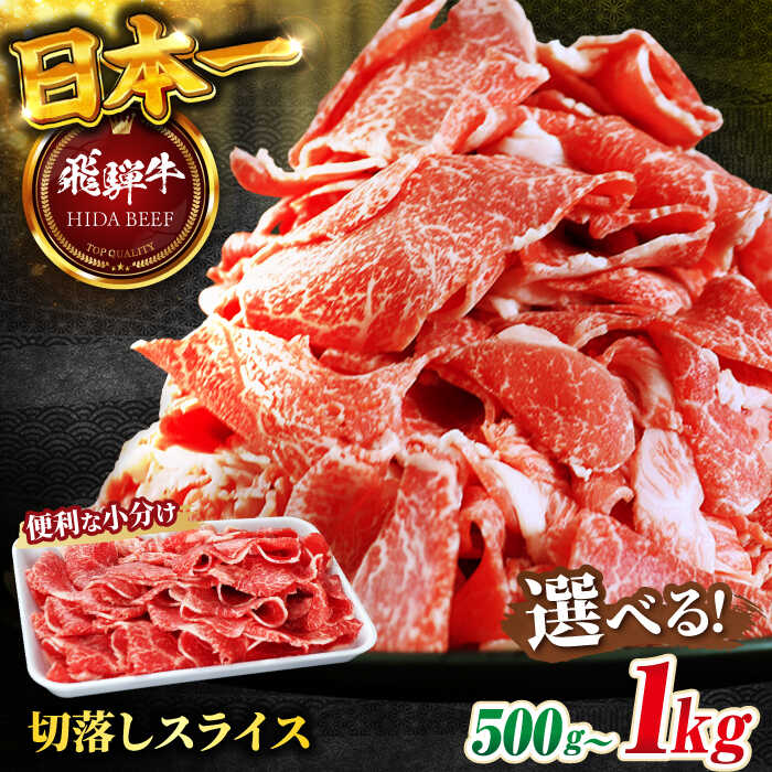 【ふるさと納税】【選べる発送月・容量】【飛騨牛】切落しスライス 計500g（250g×2）和牛 焼肉 小分け 牛肉 飛騨牛 切り落とし きりおとし 切りおとし 肉 牛肉 和牛 炒め物 牛丼 生姜焼き 岐阜市/丸福商店 [ANBO003]