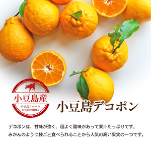 デコポン 小豆島デコポン 不知火 柑橘 フルーツ デコポン【約2.8kg】