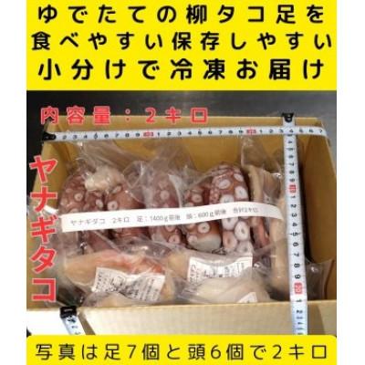 ふるさと納税 白老町 浜ゆでたこ 計2000g 北海道白老町産 |  | 01