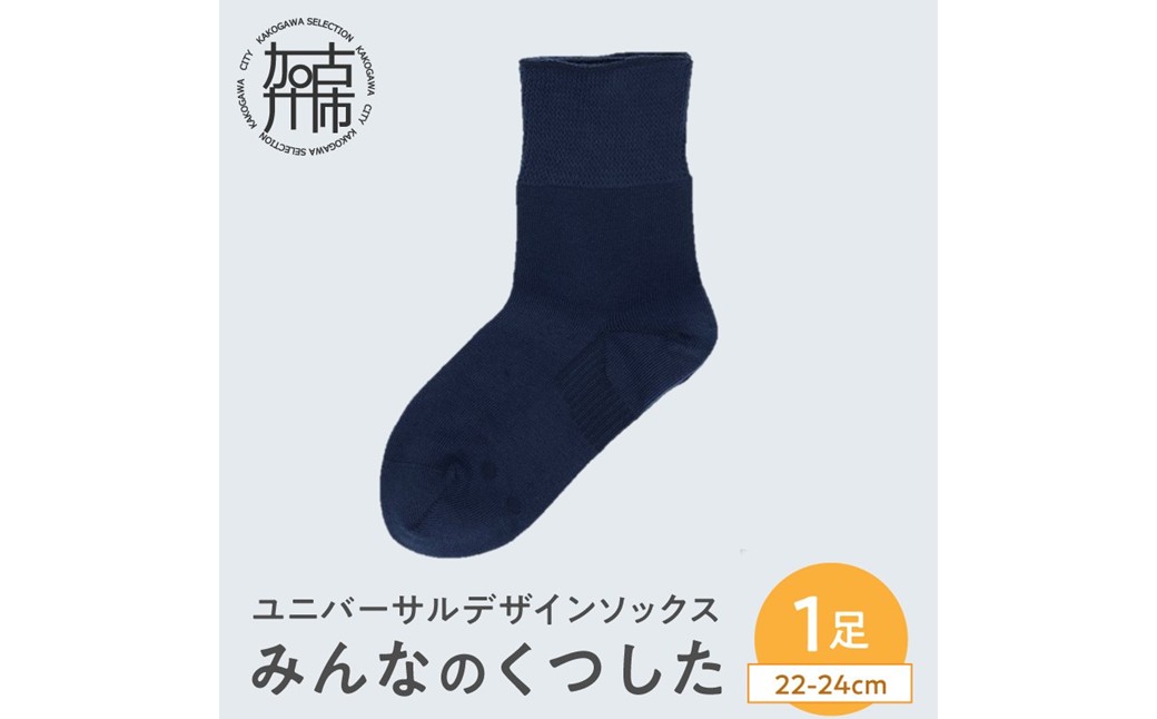 みんなのくつした 1足(22-24cm)【コン】《 くつした 靴下 ソックス 加古川市 送料無料 》【169002T000_02】
