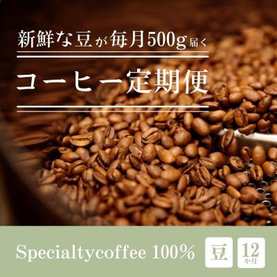 ふるさと納税 豊川市 【毎月定期便】毎月違うコーヒー豆をお届け スペシャルティコーヒー 豆 500g全12回
