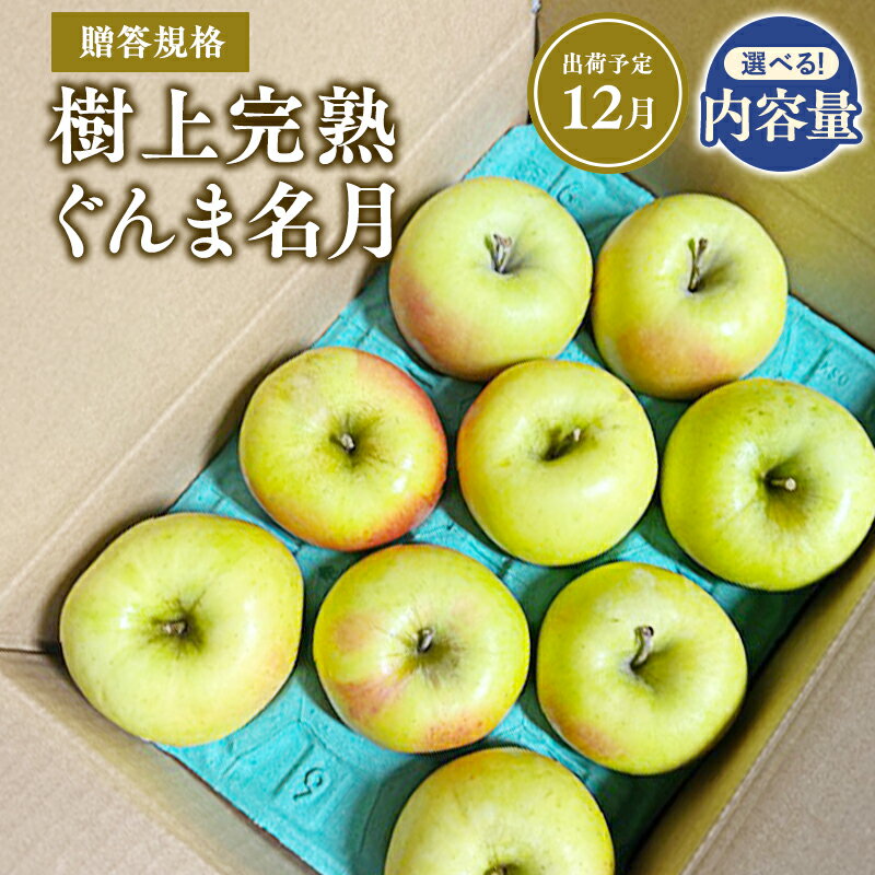 【ふるさと納税】≪令和7年産先行受付≫青森県産 贈答用 樹上完熟 ぐんま名月 約2kg 約3kg 約5kg【青森県 平川市 山内ファーム】贈答 贈答規格 平川市産 青森りんご りんご リンゴ 林檎 完熟 群馬名月 名月 お取り寄せ 先行予約 果物 くだもの フルーツ レビューキャンペーン