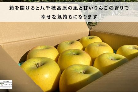 黄金に輝く　シナノゴールド　３キロ　贈答用【数量限定】［SK-102］