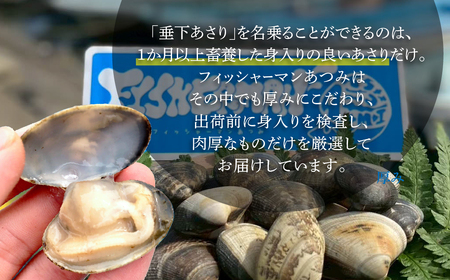 【先行予約】どでかい！垂下あさり 1kg サイズ 特大 あさり ブランドあさり 浅利 ダシ 出汁 味噌汁 国産 アサリ 愛知県 田原市 新鮮 砂抜き 海鮮 魚介類 魚介 貝 人気 パスタ などに