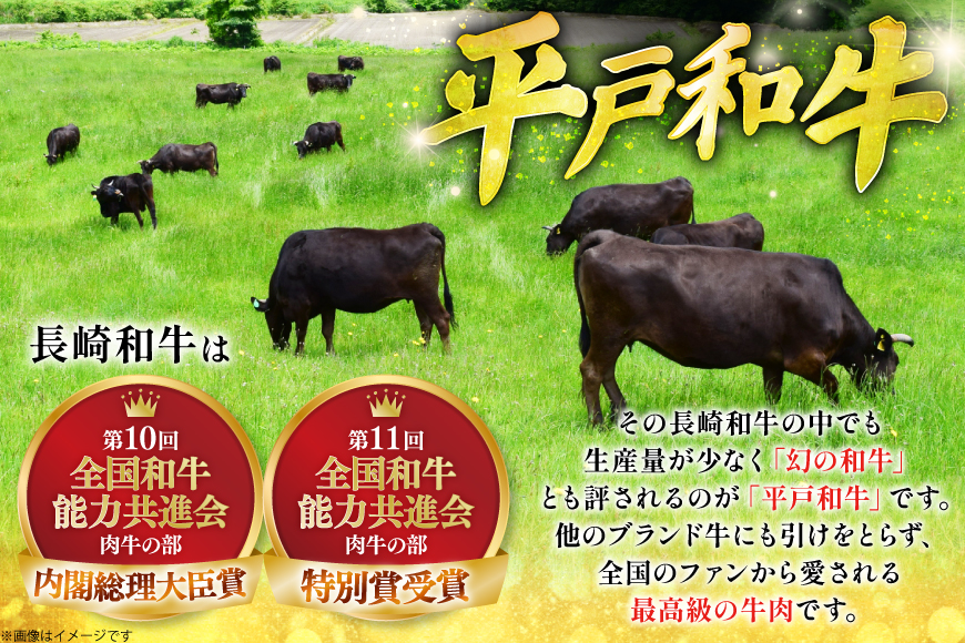 ハンバーグ 牛肉 3月発送 A5ランク 平戸牛 和牛 ハンバーグ 200g 4個 [萩原食肉産業 長崎県 平戸市 hr42bgy410021] ハンバーグソース 和牛 平戸 牛肉