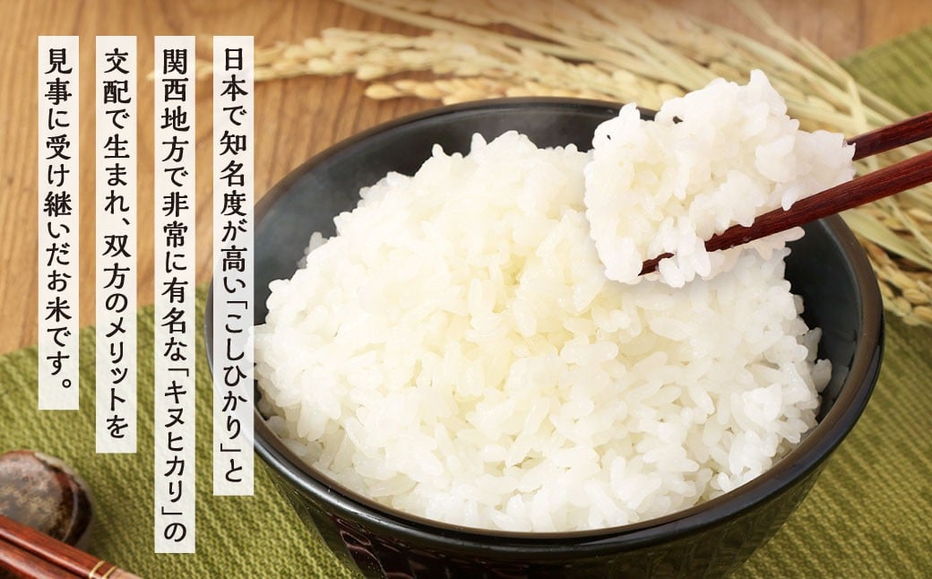 【令和7年度新米先行予約】精米 食味鑑定士厳選 夢つくし5kg
