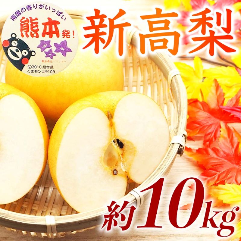 【amazon価格】新高梨 約10kg（12～32玉）【梨 なし 果物 フルーツ デザート 食後 熊本県産】※配送不可：離島