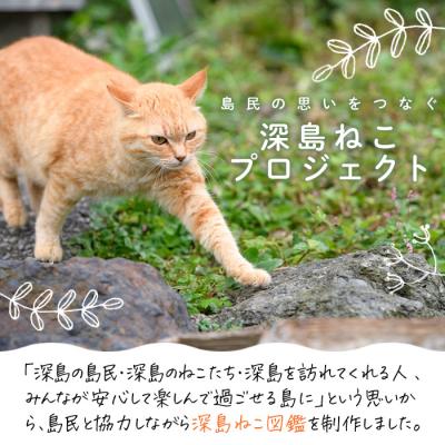 ふるさと納税 佐伯市 深島ねこ図鑑vol.2 (2冊) |  | 02