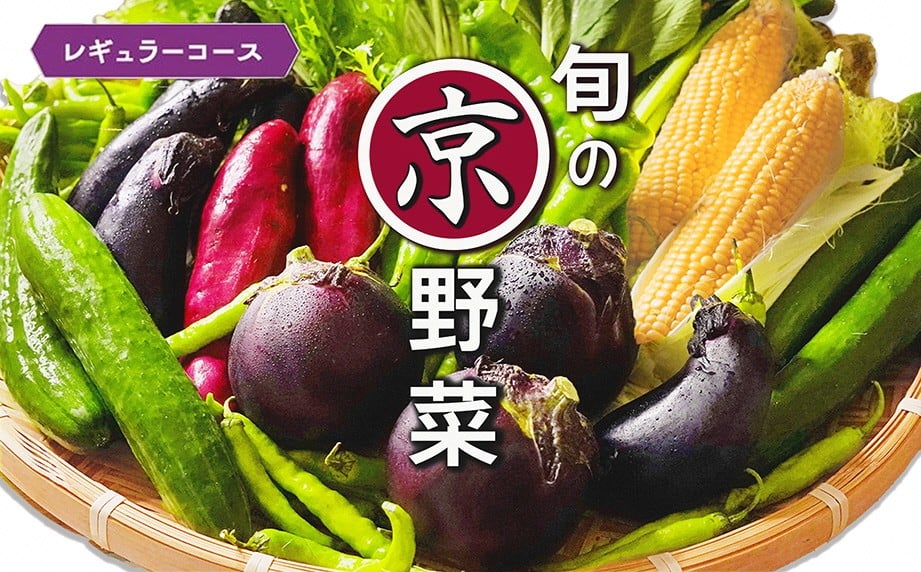 
                  野菜セット 4~6種類 旬の京野菜 レギュラーコース 詰め合わせ 季節 旬 野菜 やさい 野菜便 国産 国産野菜 新鮮 おまかせ 産地直送 春野菜 夏野菜 秋野菜 冬野菜 葉物 果菜 根菜 カット野菜 京都府産 亀岡市産 京丹波町産 季節の野菜 九条ネギ なす 唐辛子 サラダ トマト 京水菜 壬生菜 スナップエンドウ 聖護院大根 聖護院かぶら さといも つるむらさき 送料無料 京都府 亀岡市
                