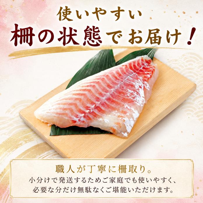 鳴門鯛 鯛 刺身 《 柵 2尾 》 1kgサイズ たい お刺身 ブランド 真鯛 天然 鯛 冷蔵 しゃぶしゃぶ 正月 年末年始 鳴門 なると 徳島 魚市場