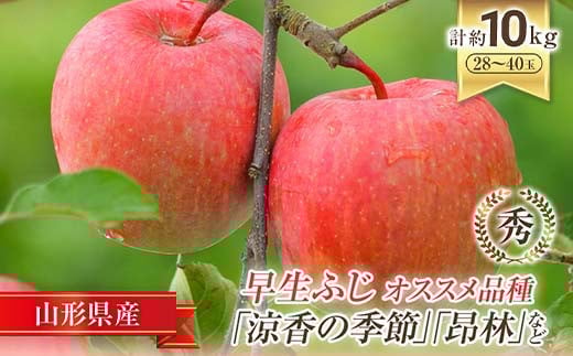 【令和7年産先行予約】JA 早生ふじ 「涼香の季節･昂林 等」 約10kg (28～40玉) 《令和7年9月下旬～10月中旬発送》 『JA山形おきたま』 山形県 南陽市 [927]
