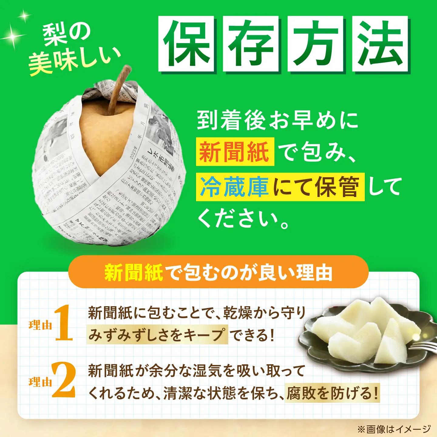 【先行予約】 新高梨 約3kg（5玉）〈2026年9月20日~10月末発送〉 / 高知 新高梨  【川渕果樹園】[ATHX002]