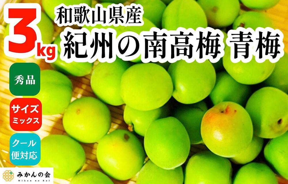 ［2026年6月上旬出荷］青梅 南高梅 3kg 秀品 サイズミックス  和歌山県産 A品 梅酒作り用 梅ジュース作り用  AX95